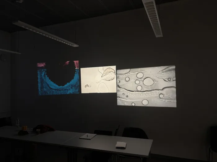 Projection Workshop — Martin Reinhart