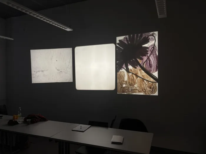 Projection Workshop — Martin Reinhart