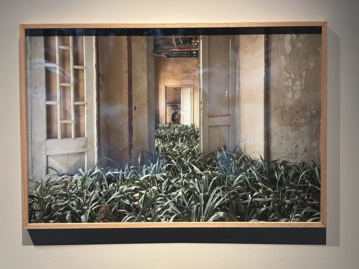 Foto Arsenal — Martin Reinhart