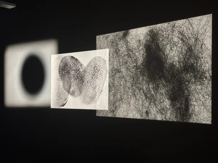 Projection Workshop — Martin Reinhart