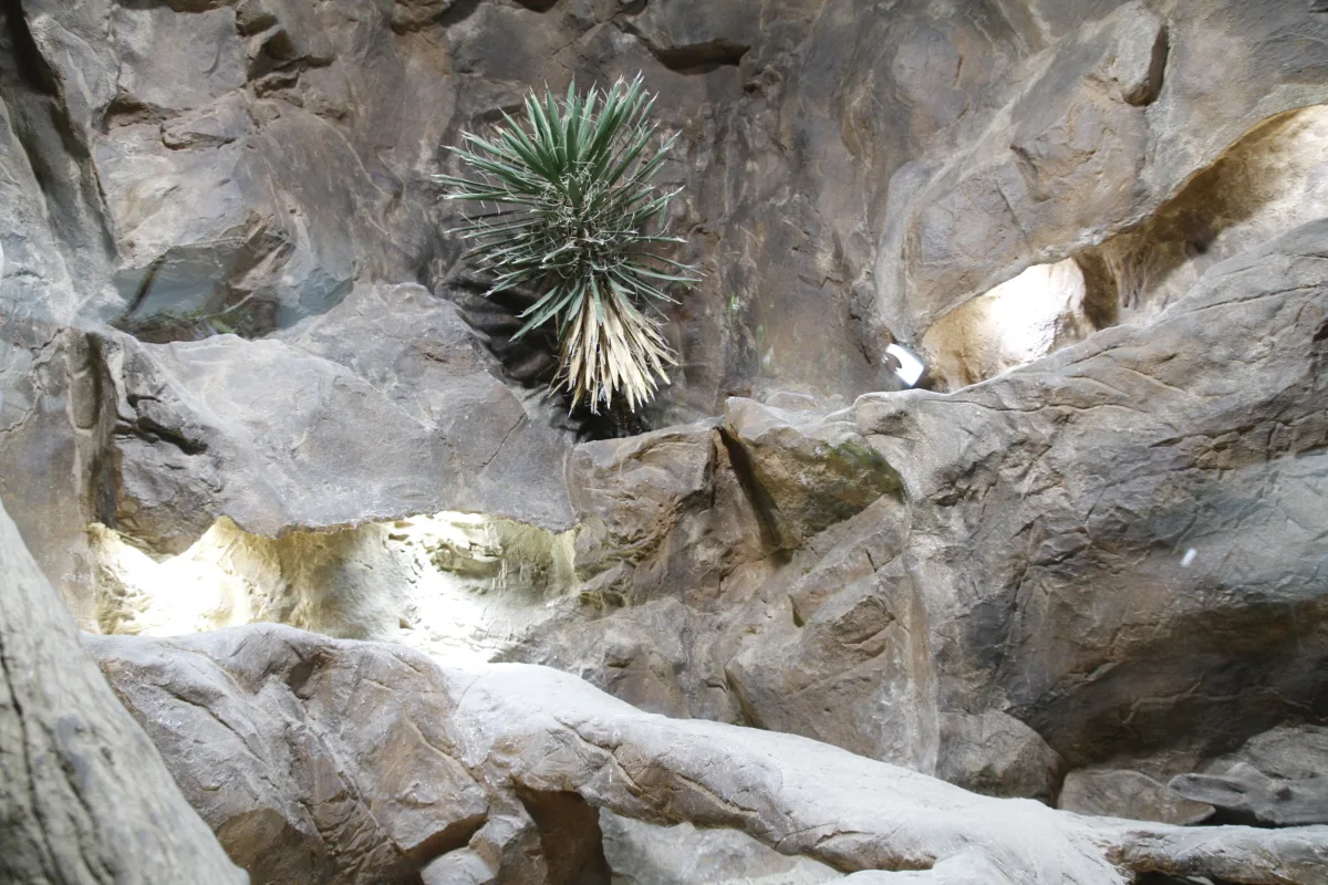 Exotic habitats