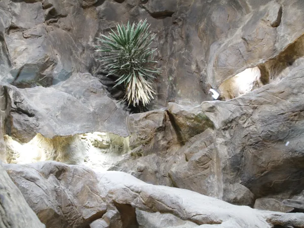 Exotic habitats