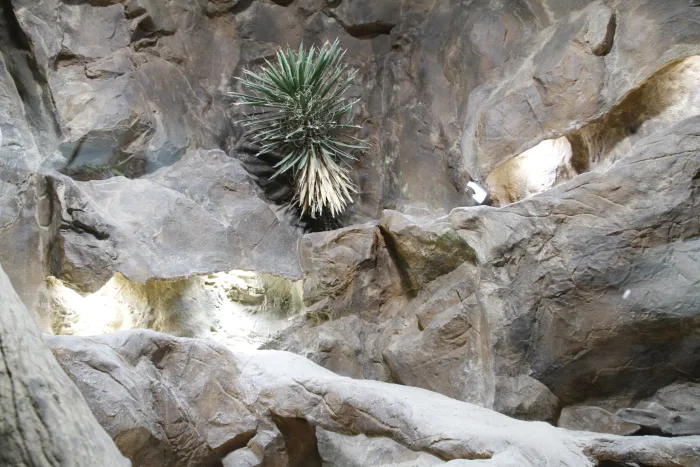 Exotic habitats