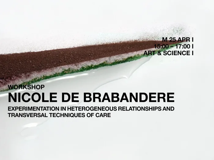 Experimentation in Heterogeneous Relationships and Transversal Techniques of Care