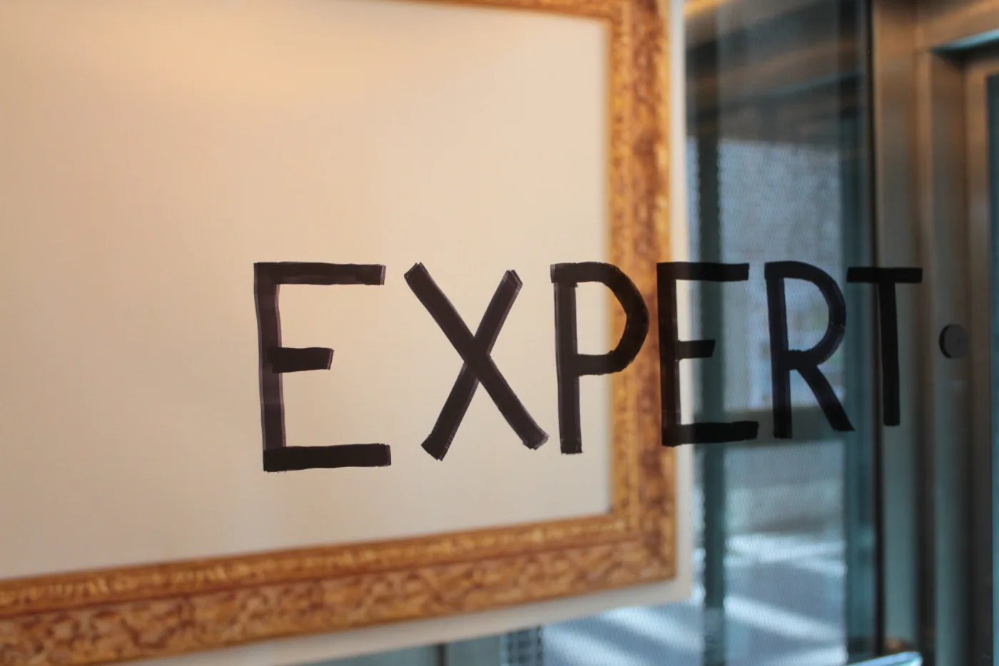EXPERT?PROJECTion
