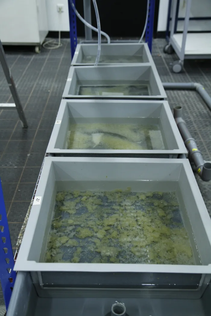 Excursion at Biozentrum, Althanstraße 14, UniWien/Department of Limnology at the University of Vienna. Photo © Juliana Herrero