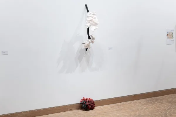 Folding imaginary landscapes II