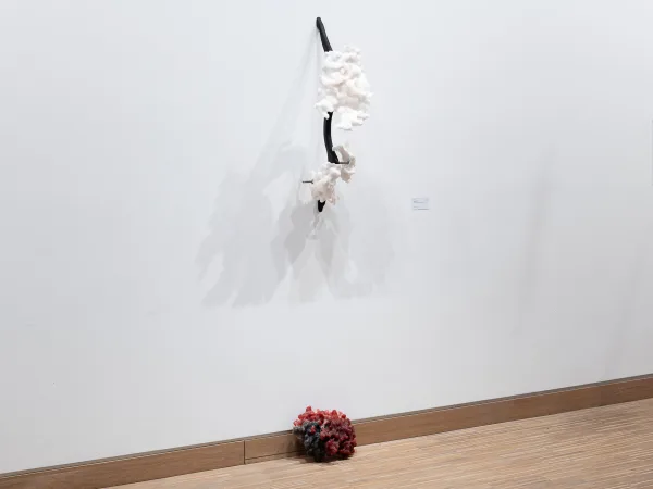 Folding imaginary landscapes II
