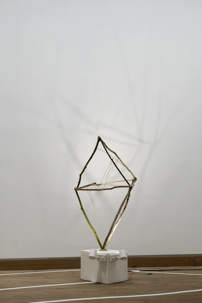 All our in-betweens by Lindsey Nicholson, 2022