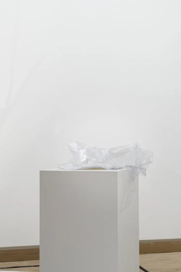 Abwesen by Sophie Olivia Taleja Schmidt, 2022