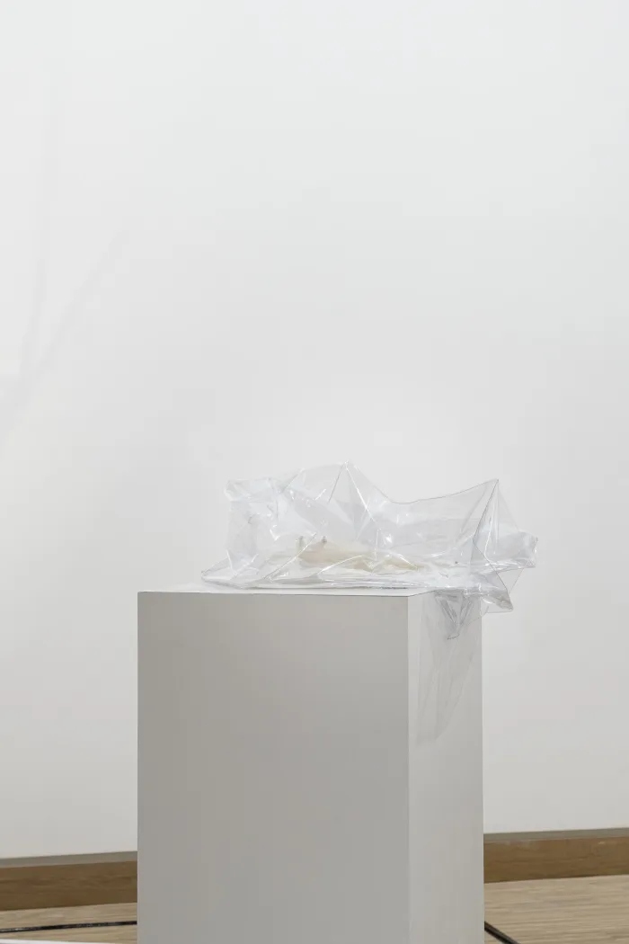 Abwesen by Sophie Olivia Taleja Schmidt, 2022