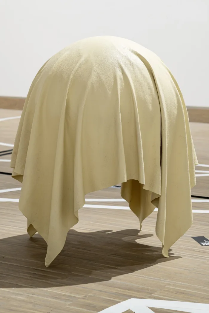 *no title by Carmen Pamina Farr, 2022