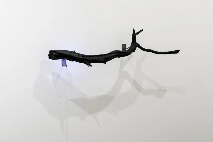 Eugénie Desmedt, Randomness is meant to be touched, 2022