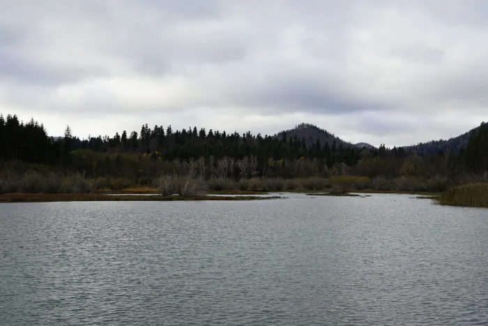 Fužine - 1st Excursion November 2019