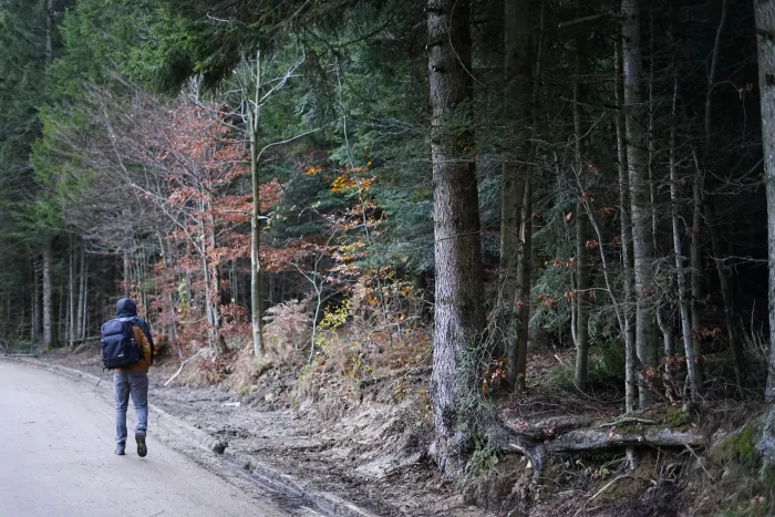 Fužine - 1st Excursion November 2019