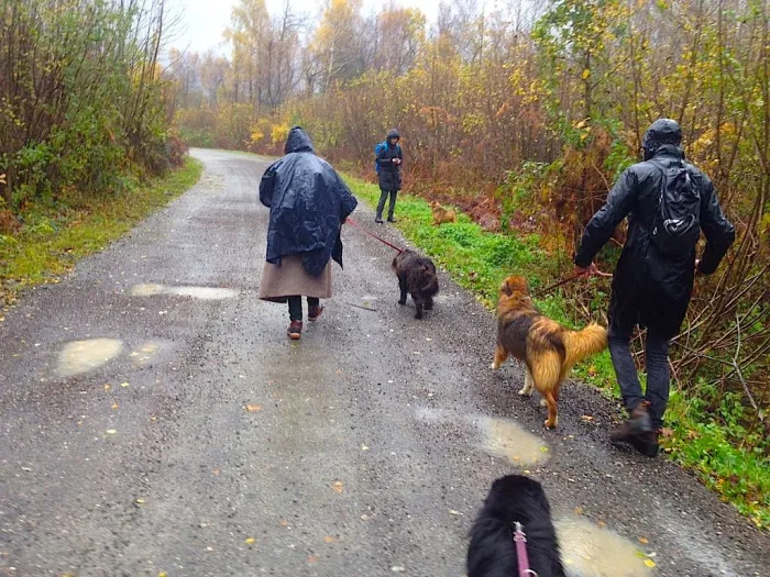 Fužine - 1st Excursion November 2019