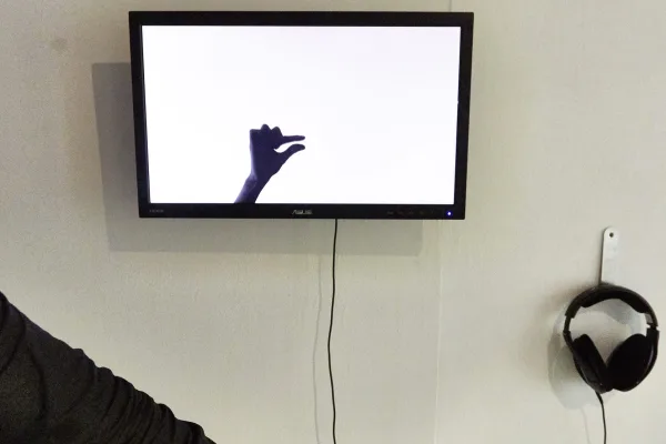 Gesture in Communication