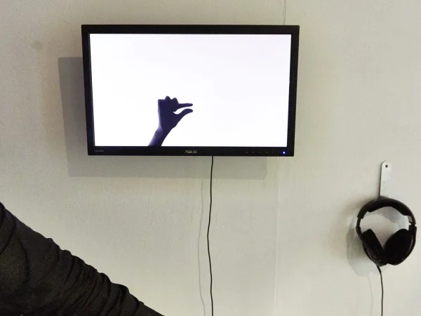 Gesture in Communication