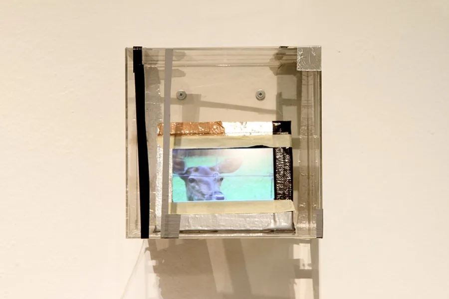 Julia Rublow. Photo © Sabina Teichert