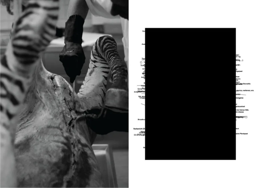 Moritz Resl, Polytrauma, 2012