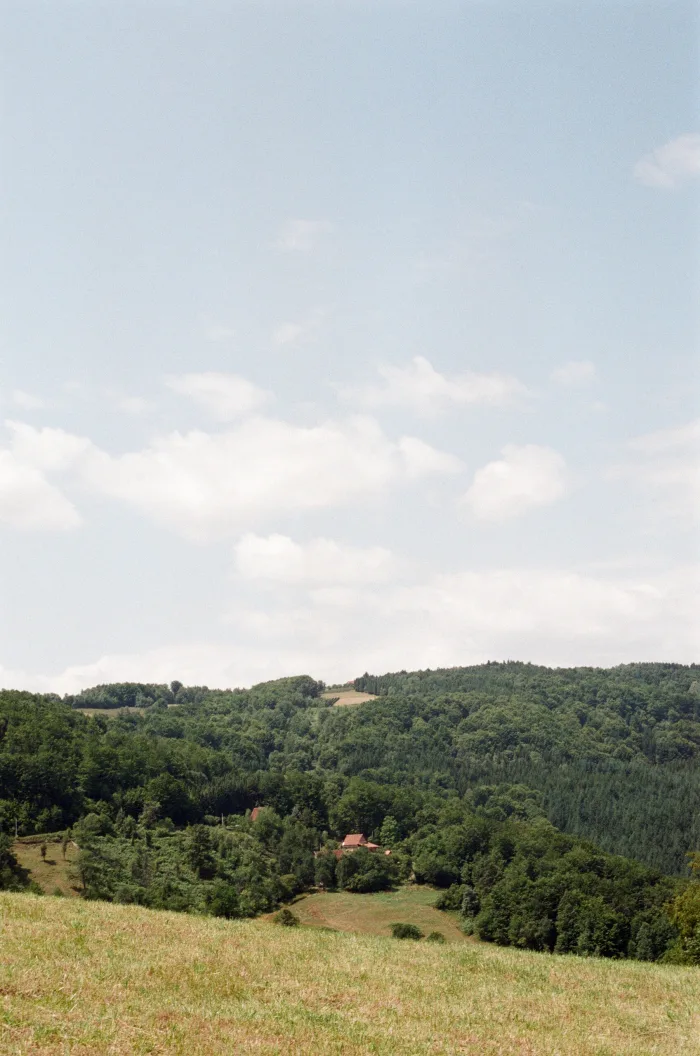 Márton Zalka
