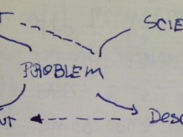 Identity and social environment