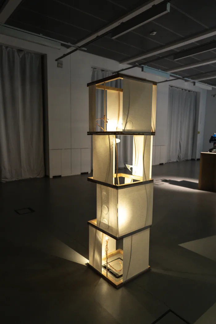 Illuminating Movement