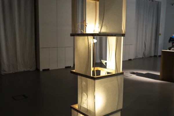 Illuminating Movement