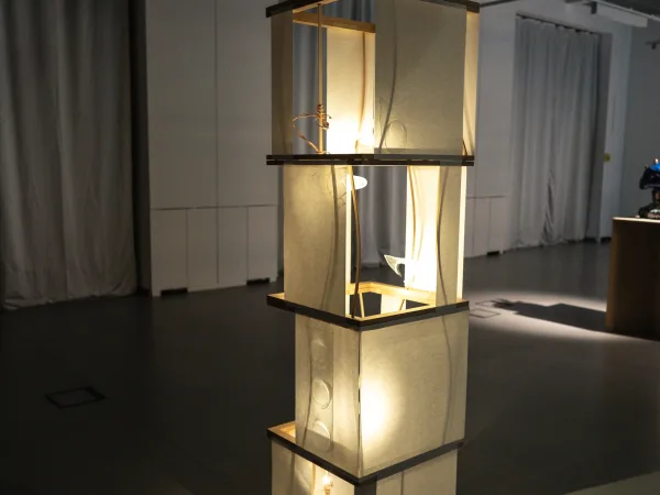 Illuminating Movement