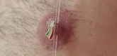 Sergio Valenzuela, “Nippel” (Nipple), 2012