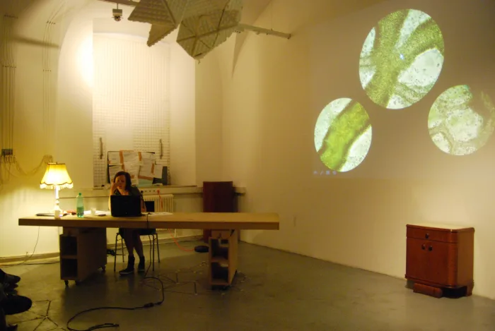 Jour Fixe with Theresa Shubert, 11 May 2012. Photo © Alin Cirstea