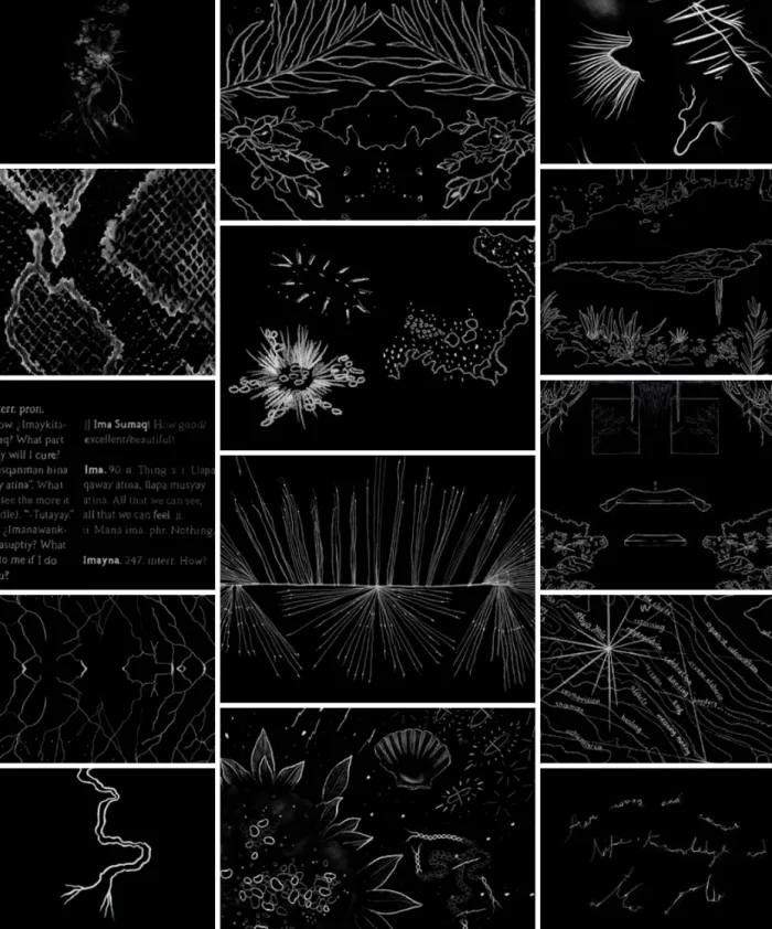 Knowing aesthetics and vital knowledges that center symbiotic life in between worlds.