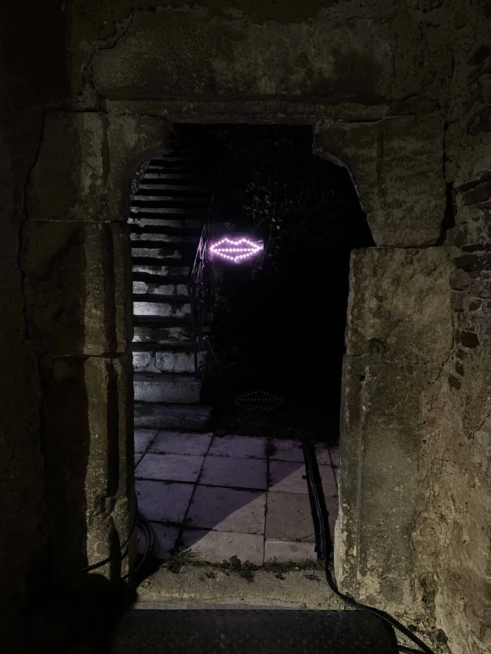 Krems Lichtfest — Martin Reinhart