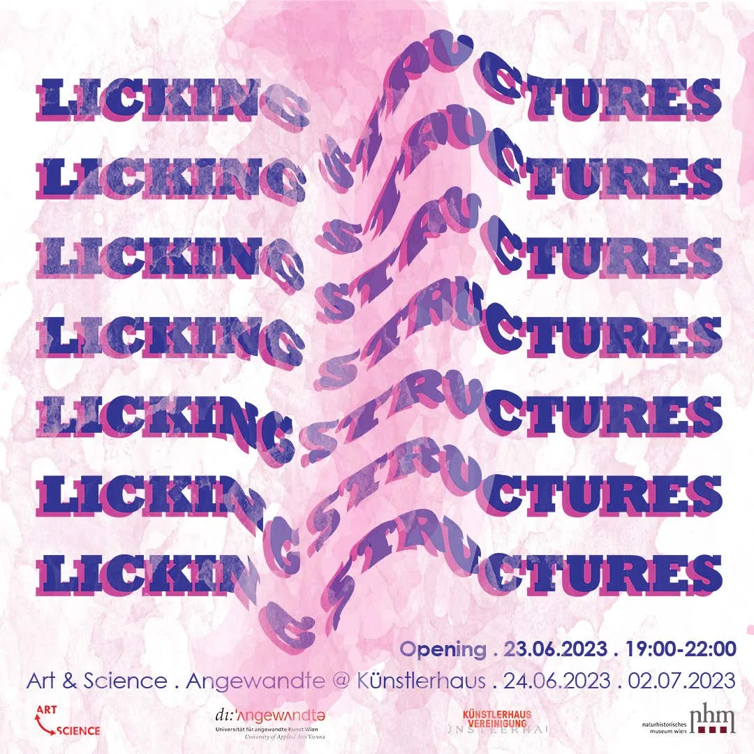 Licking Structures | Exhibition Opening