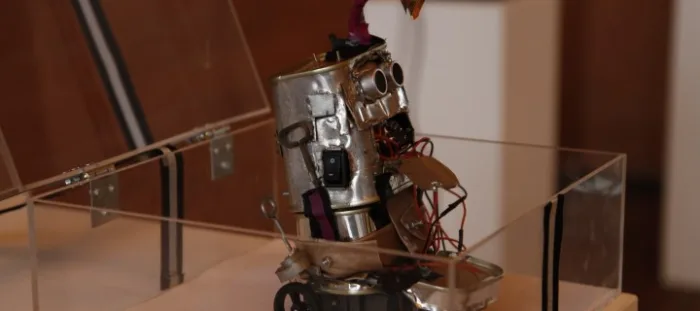 Lifeless & Helpless (robot), 2011
