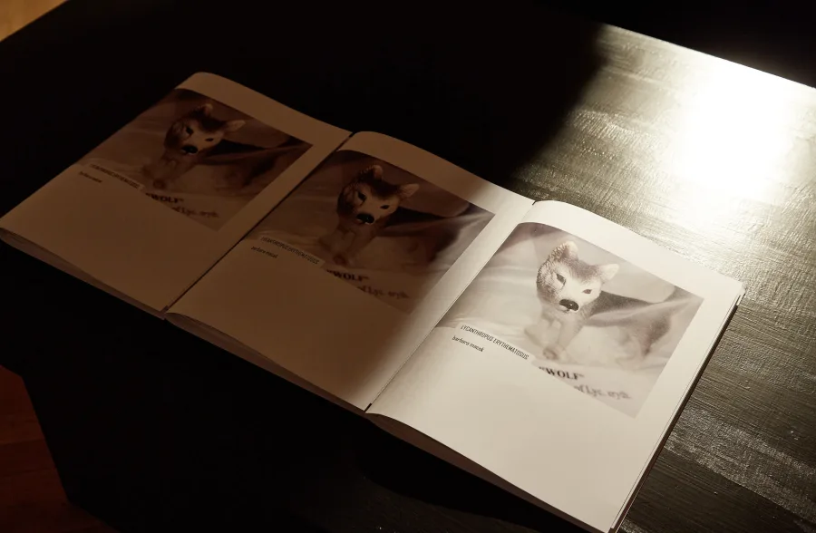 Lycanthropus erythematosus