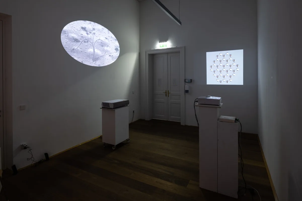 Make Matter Make Sense: Inside Out / Outside In