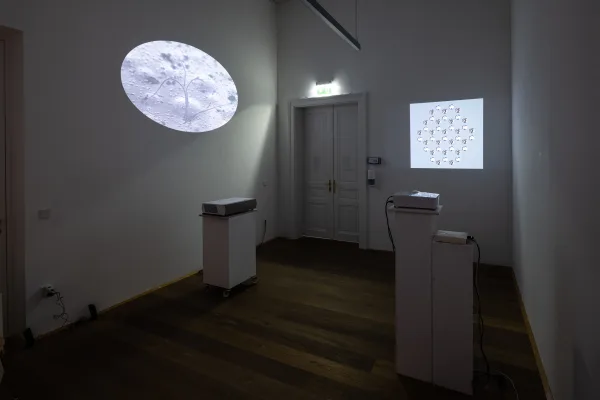 Make Matter Make Sense: Inside Out / Outside In