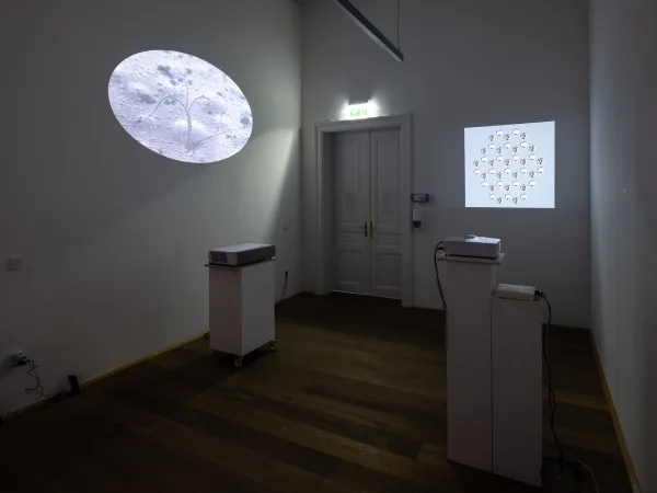 Make Matter Make Sense: Inside Out / Outside In