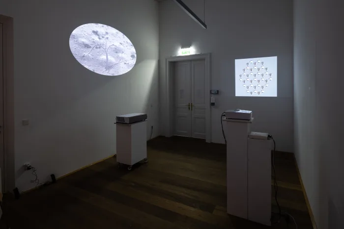 Make Matter Make Sense: Inside Out / Outside In