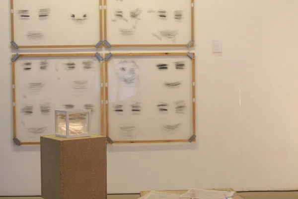 Maps like face(s)
