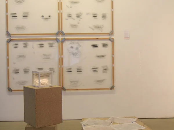 Maps like face(s)