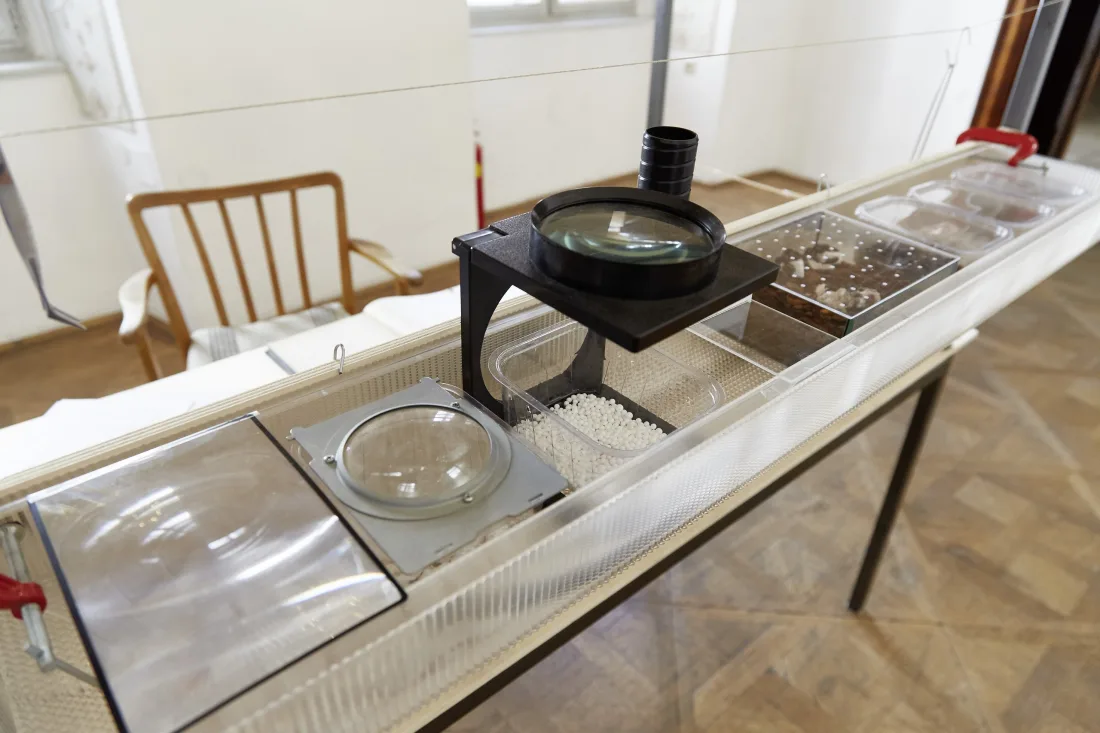 Margit Busch and Andrej Polukord receive Kunsthalle Wien Prize 2016