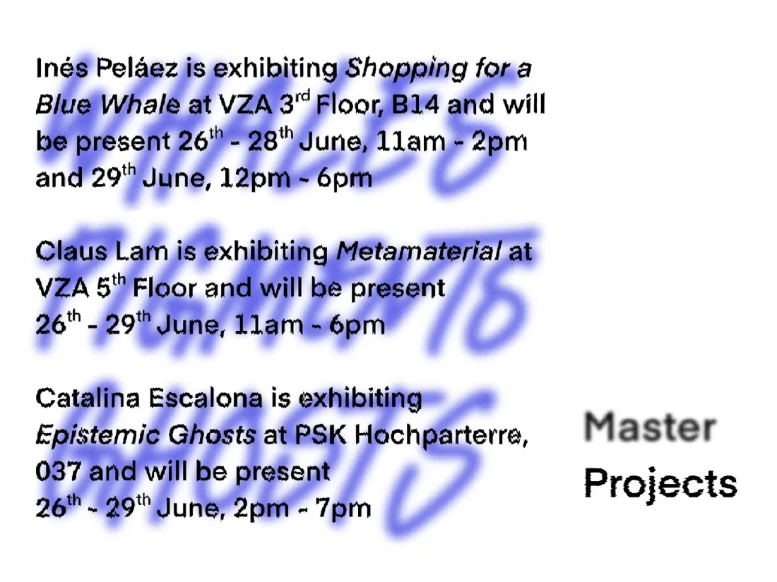 Master’s Projects | Summer semester 2024