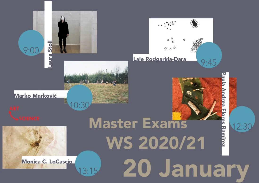 Master’s Projects | Winter semester 2020/21