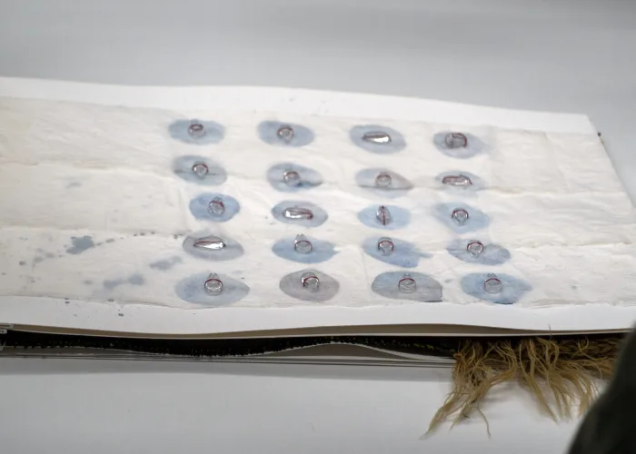 Toqa Eissa Master Project WiSe24/25 — Gerda Fischbach