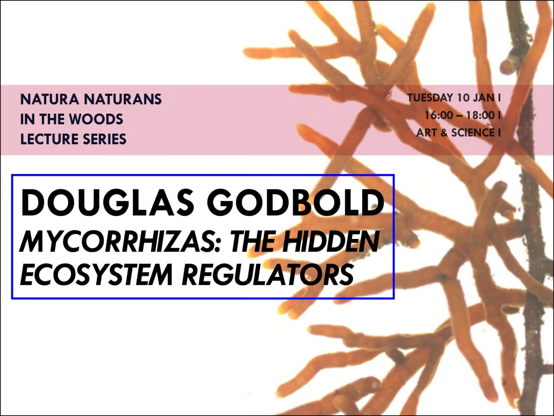 Mycorrhizas: the hidden ecosystem regulators