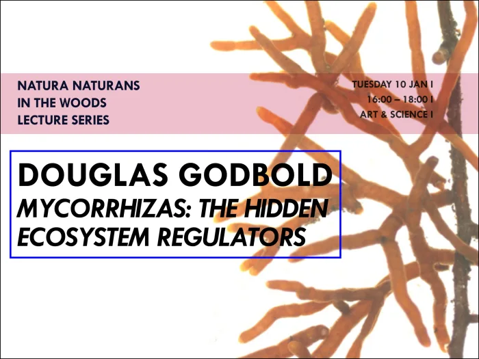 Mycorrhizas: the hidden ecosystem regulators