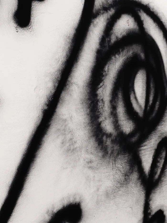 Outlines of absence, contours of presence