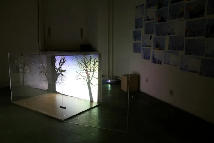 Anna Fatér, Manuel Stark, Manimal Project, 2011. Photo © Sabina Teichert